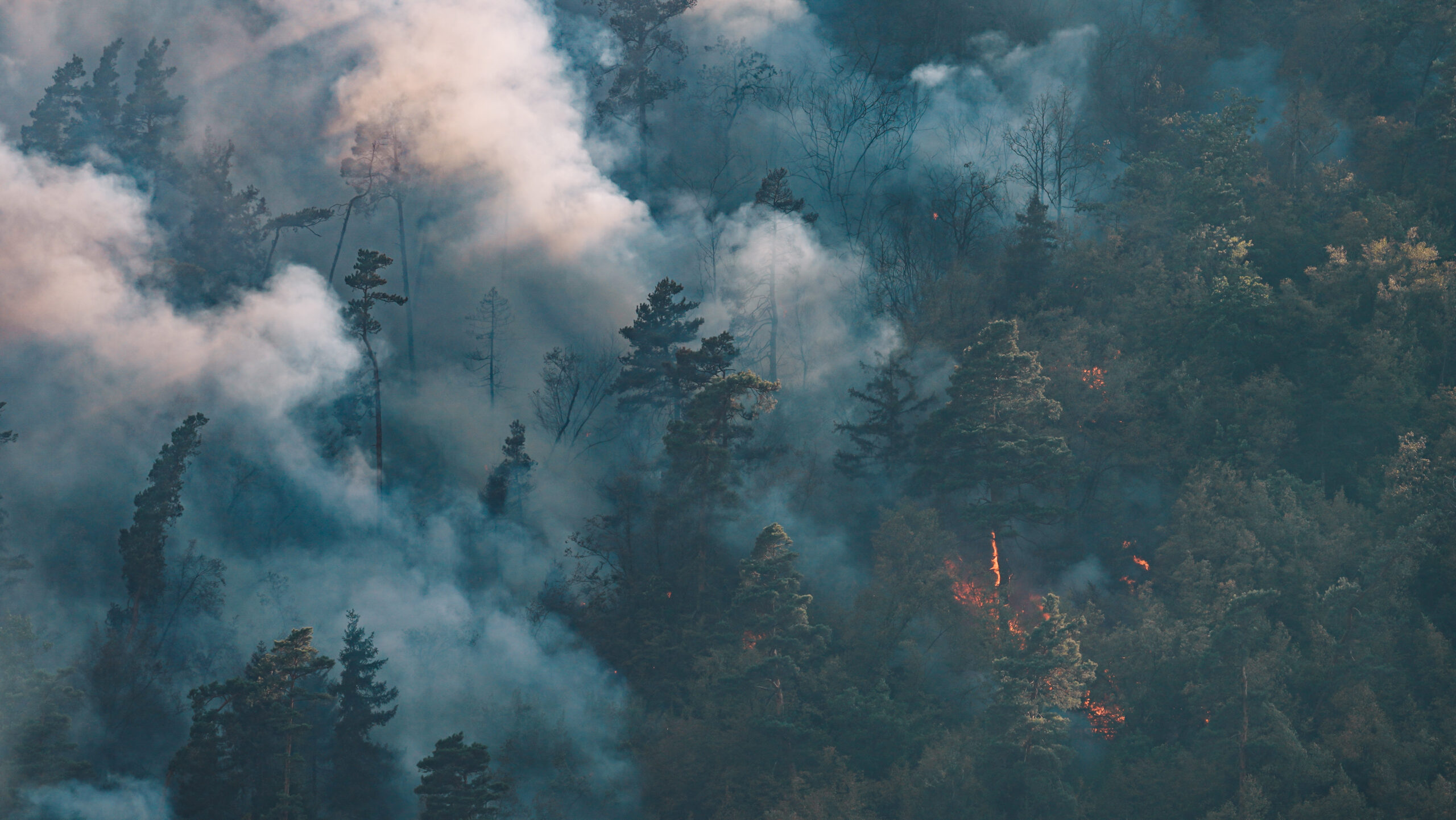 Wildfire Strikes Bardon Hill: A Dramatic Look from Above